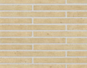 Parisina Limestone 500 x 40