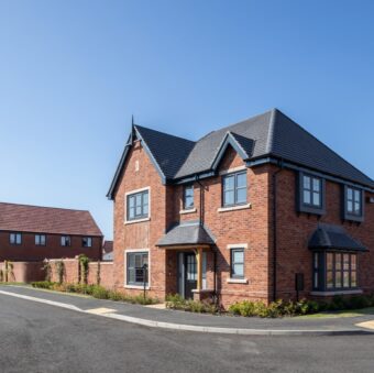 Hayfield Grove 19 Large