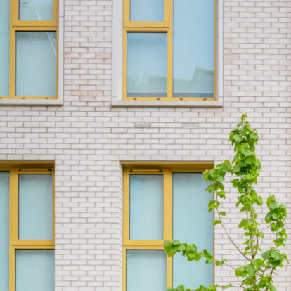 A close up of a building with pale concrete bricks, featuring six windows with yellow frames and a small tree in the foreground.