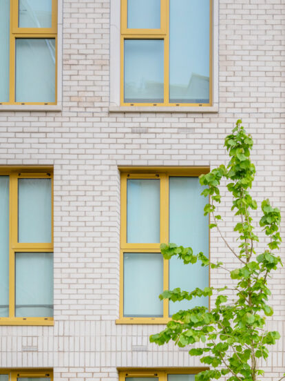 A close up of a building with pale concrete bricks, featuring six windows with yellow frames and a small tree in the foreground.
