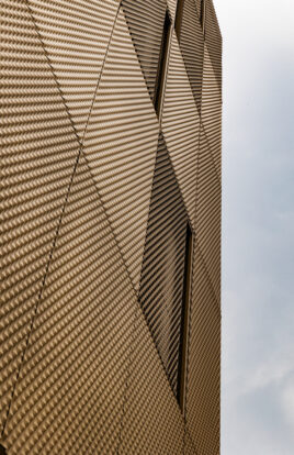 Dense expanded mesh facade
