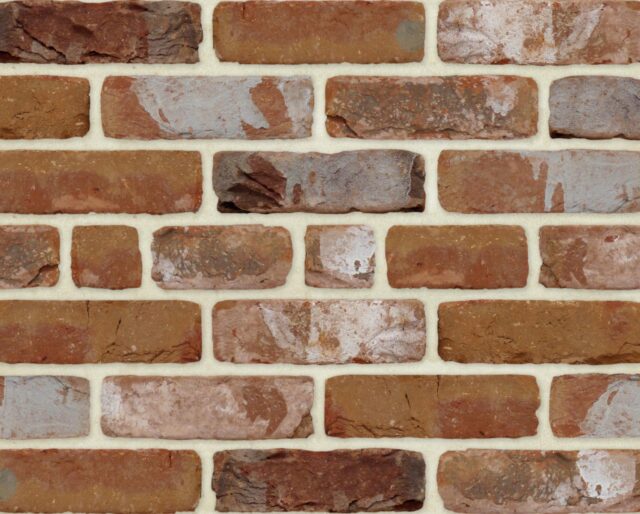 Olde Durban 3 x 7 Partial Bricks s