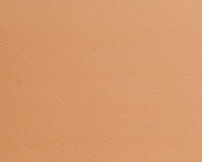 Salmon Pink